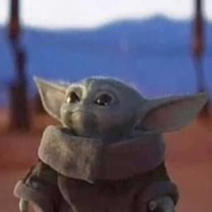 Meet your Posher, Katrina